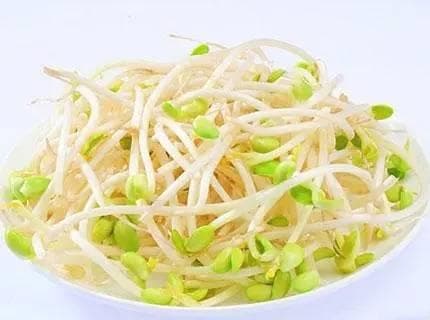 豆芽菜的功效与作用