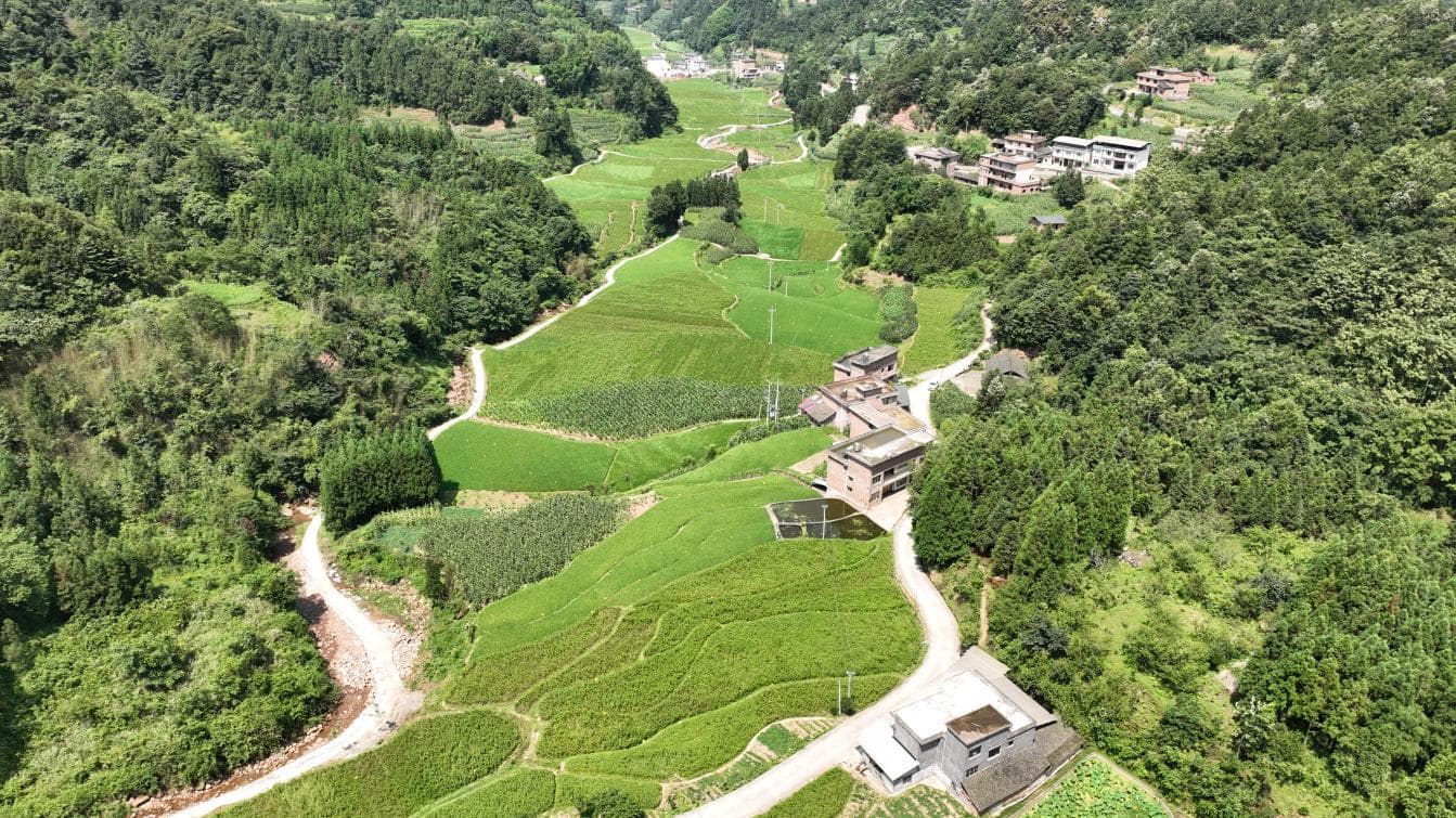 千年本草焕新颜：税务助力“神仙草”变身“致富药”