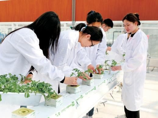 专业强化交叉融合，育人对标产业需求 今年高校这些新专业招生
