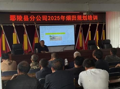 粮烟融合，绘出乡村振兴新画卷