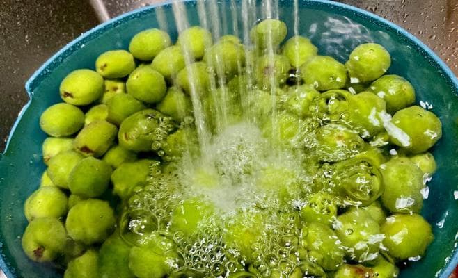 自制杨梅酒的完整教程：从准备到享用的13个步骤