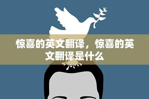 惊喜的英文翻译，惊喜的英文翻译是什么