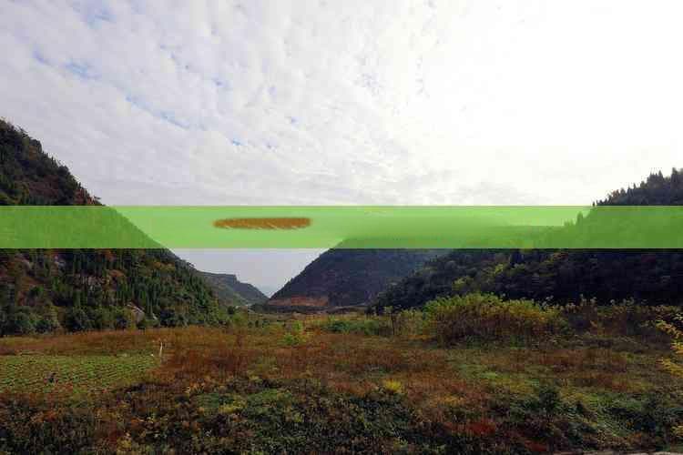 海南省四方位深度探秘：东南西北全攻略与特色解读