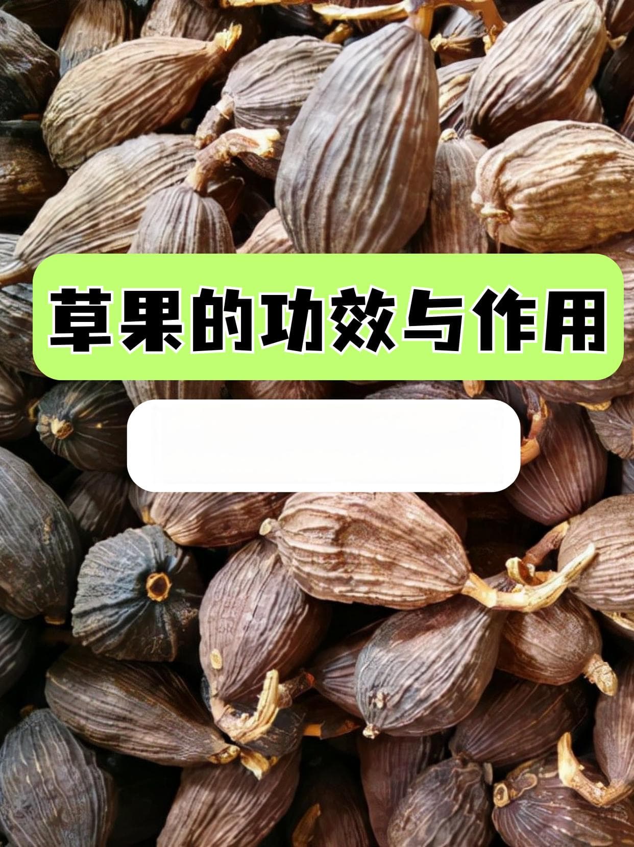 草果的功效与作用：从中医角度解读这味常用中药材
