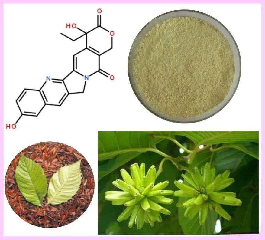 化学分子解析：抗癌药喜树碱