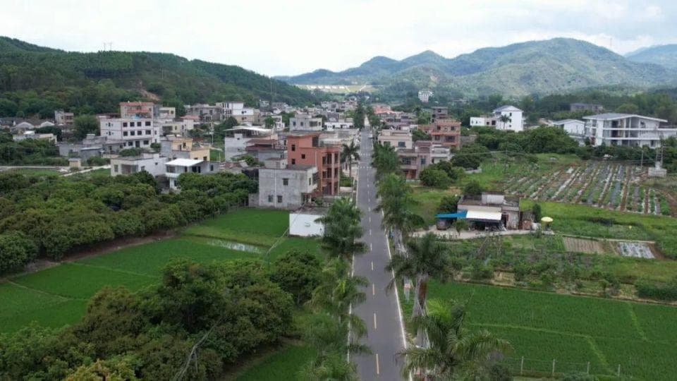 白盆珠镇：巩固赋能 擘画“百千万工程”新篇章