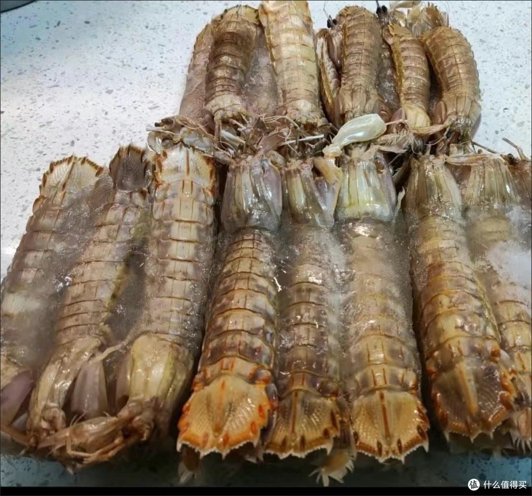 皮皮虾：海洋中的鲜美精灵