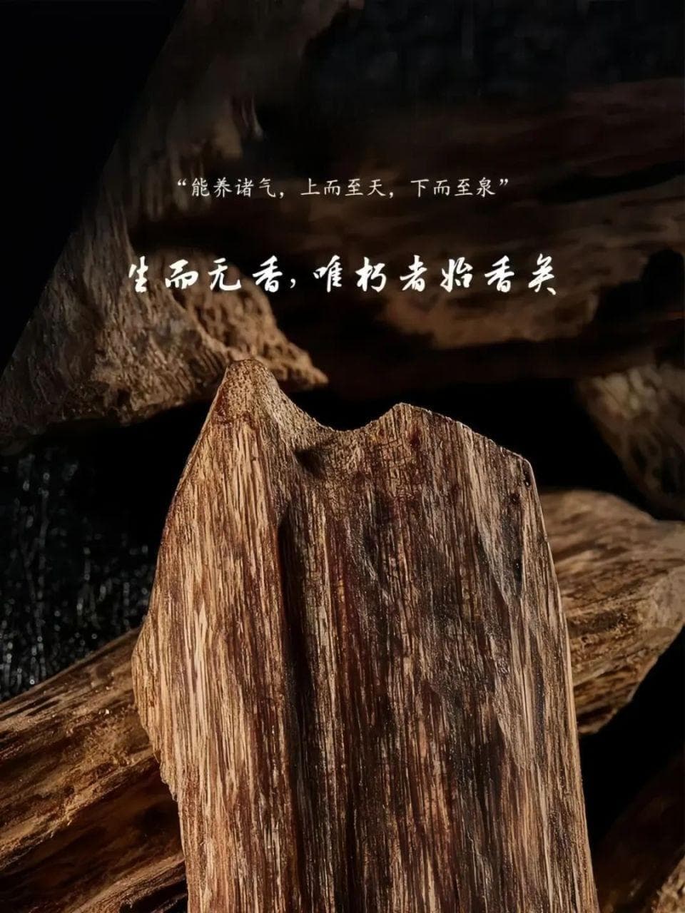 什么是沉香？沉香的品级？终于弄清楚了！