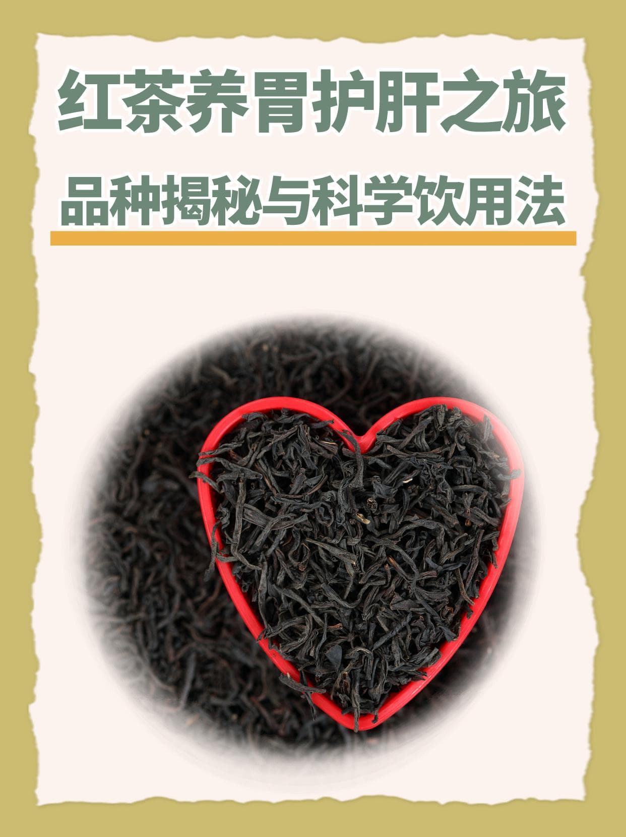 红茶养胃护肝之旅：品种揭秘与科学饮用法