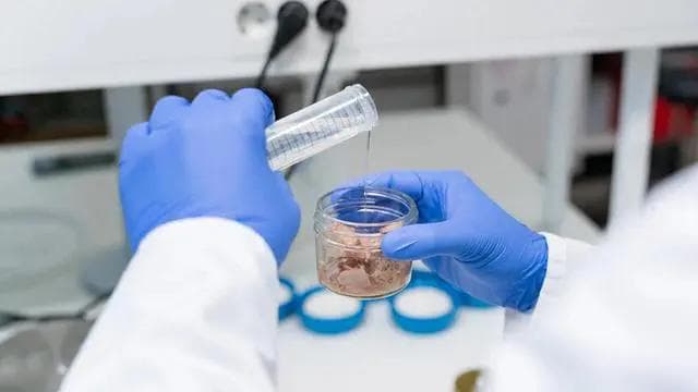 突破性包装解决方案可将罐装金枪鱼中的汞含量减少35%