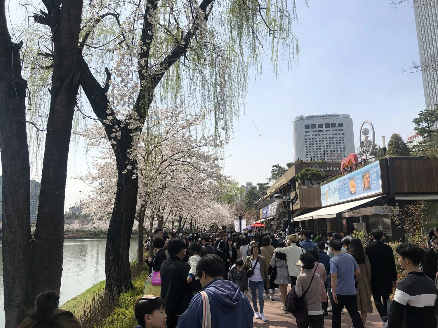 成都青白江区启动“春风行动”大型招聘会 提供6956个就业岗位