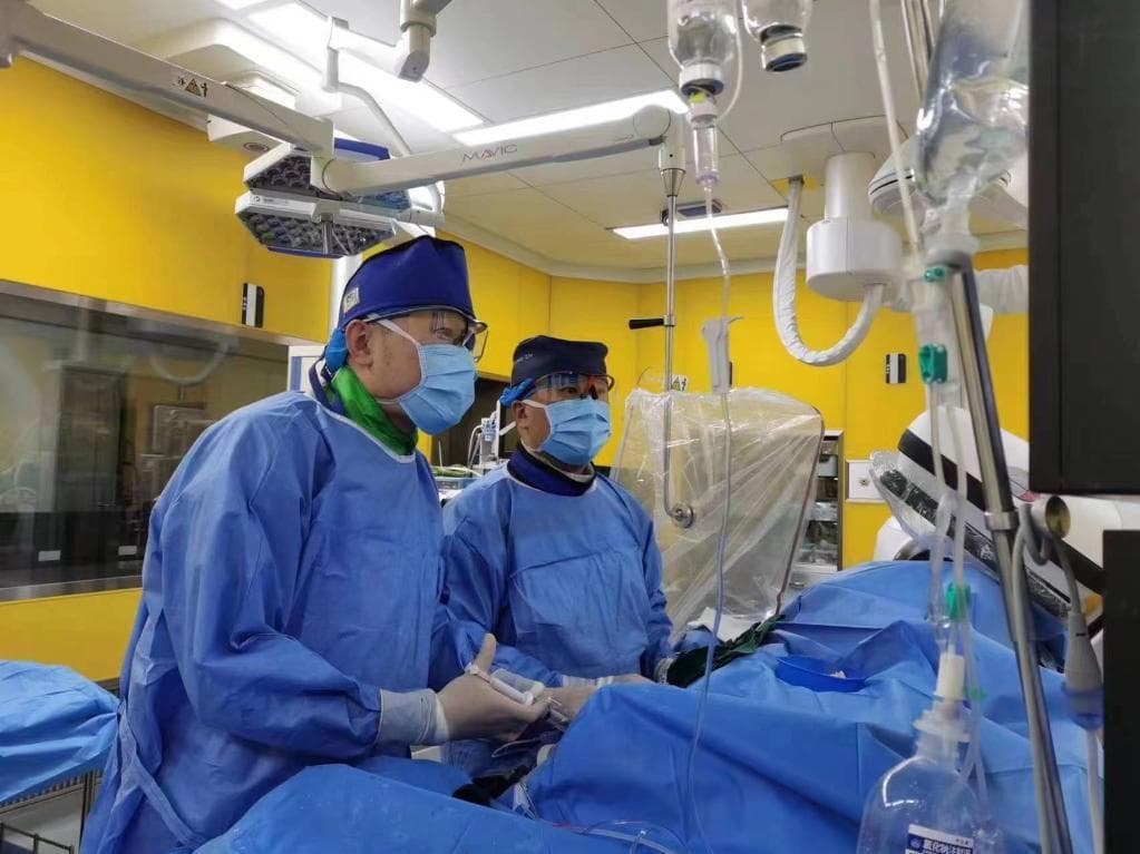 专家提醒：重视血管健康  及时检测和管理血管疾病