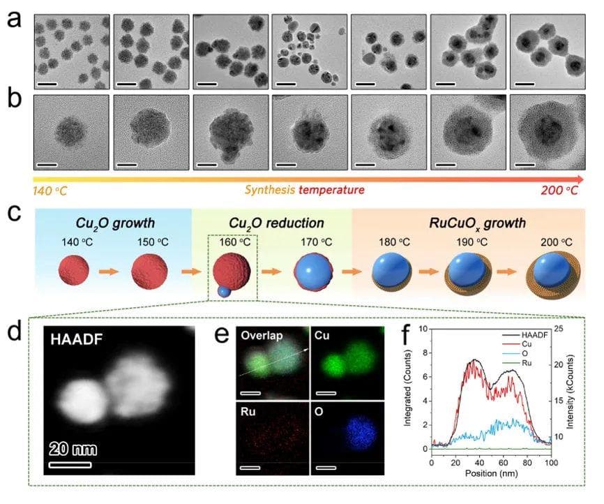 苏州大学陈金星等人《AFM》：Cu-Ru超结构用于高效光热转换与塑料回收