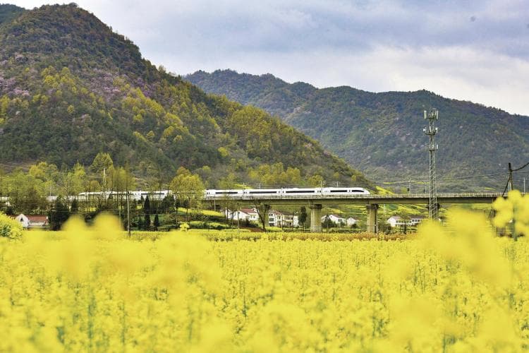 高铁“公交化”开行 西安至汉中赏花更便捷