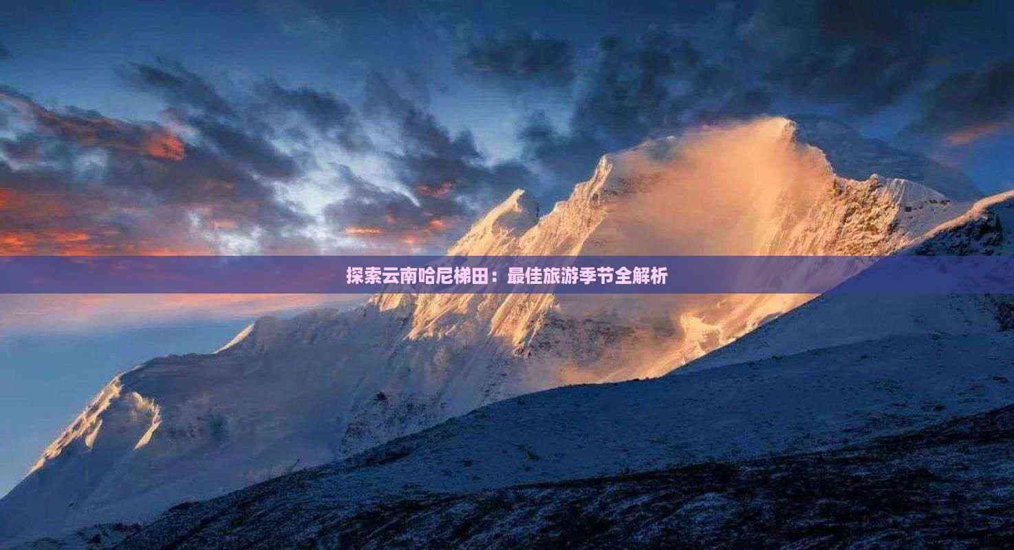 云南哈尼梯田：最佳旅游季节全解析