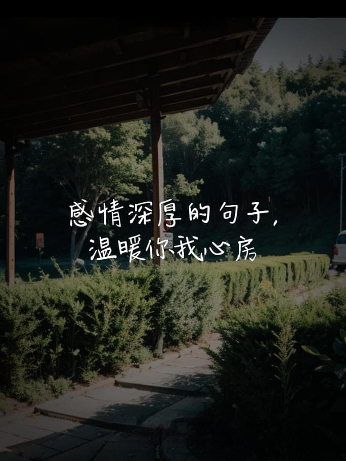 多少才算是足够的表达？揭秘情感表达的正确姿势！