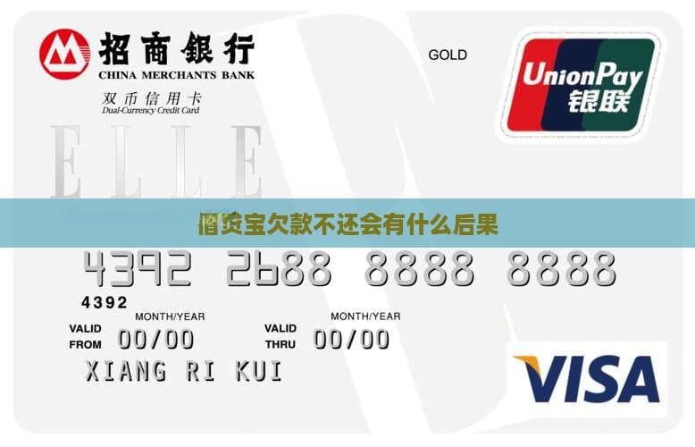 借贷宝欠款不还，不仅上征信还可能被起诉