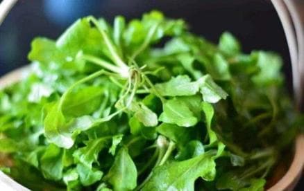 中医推荐：荠菜的养生新宠