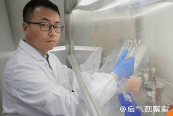 全球首创！大肠杆菌变身环保小能手，高效吸收二氧化碳