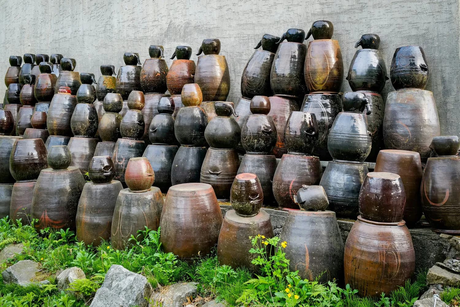 房县黄酒产量破8万吨，带动2万人就业助力乡村振兴