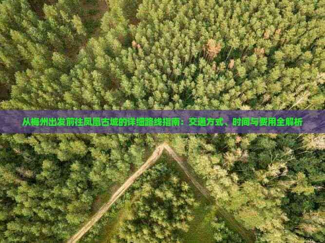 从梅州出发前往凤凰古城的详细路线指南：交通方式、时间与费用全解析