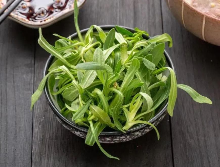 春天尝鲜，野菜当道：四种常见野菜的营养价值与食用指南