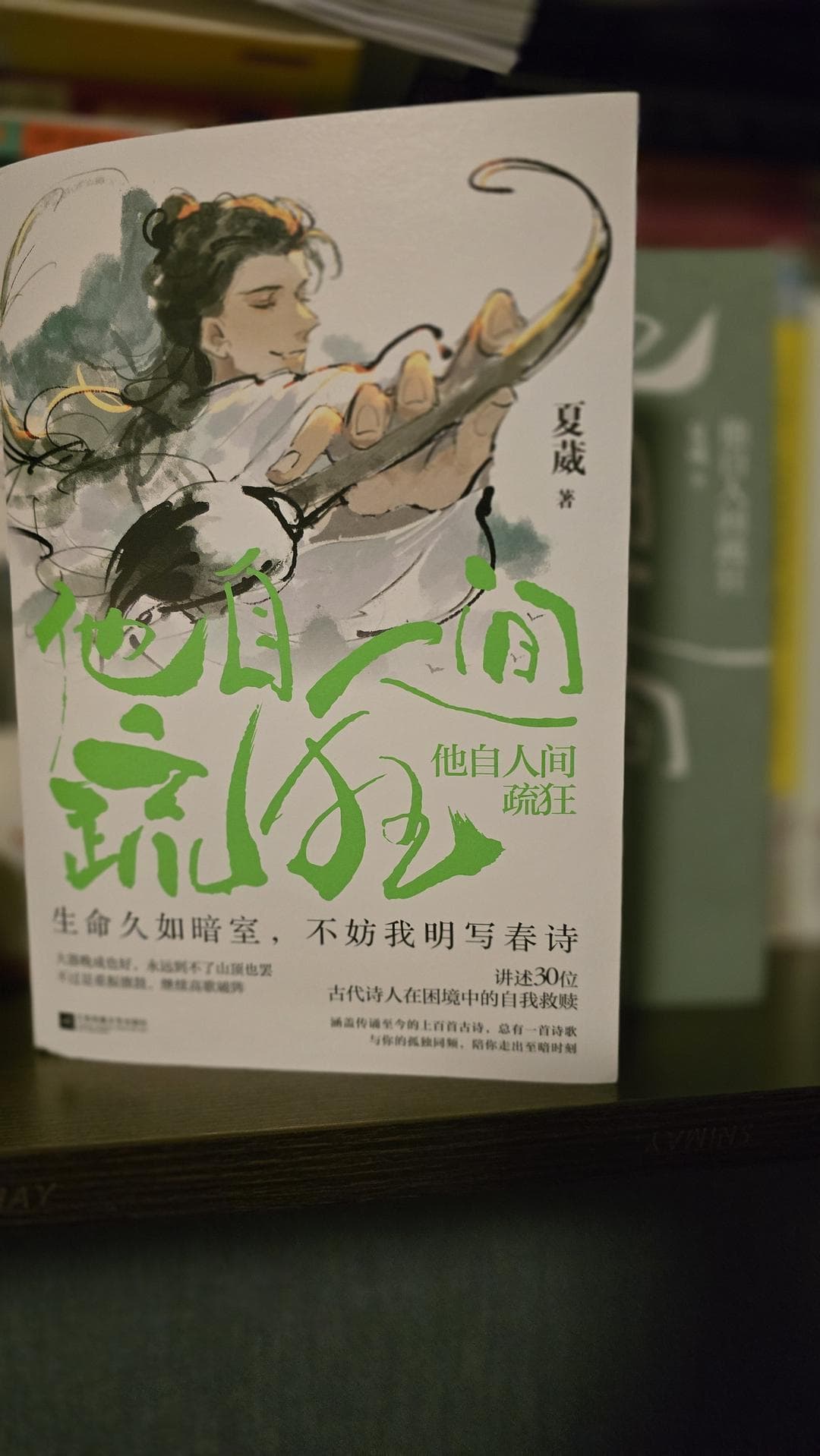 《他自人间疏狂》：古代诗人的逆境自渡与灵魂救赎