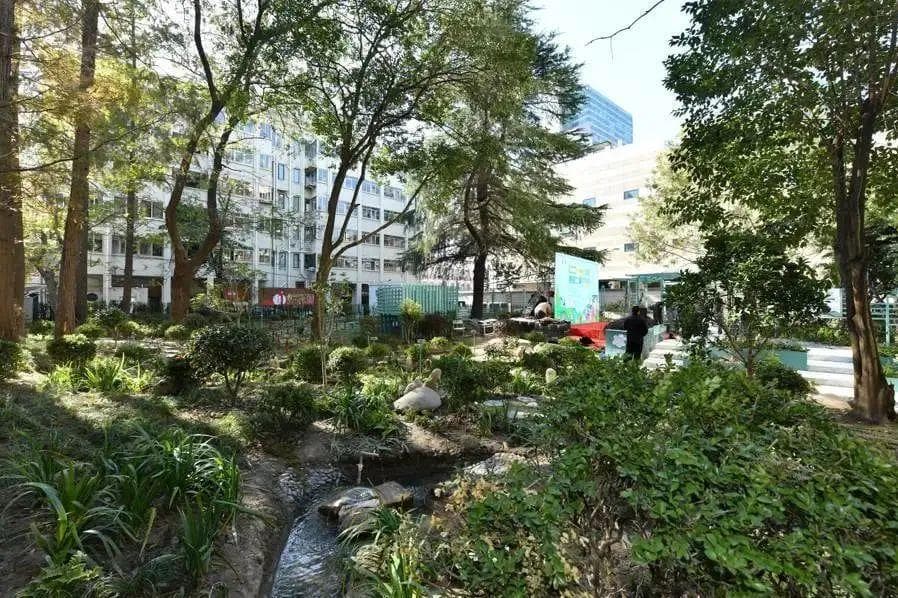 上海愚园路打造“生境绿廊”，3处特色花园成居民休闲新去处