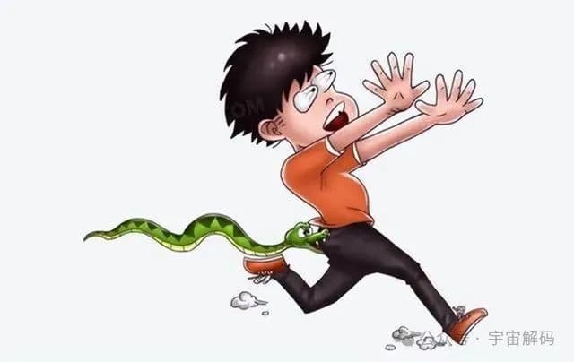 蛇是如何行走的？为何没有脚，蛇依然能“奔跑”？