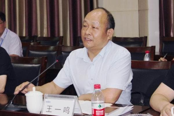 王一鸣这个名字的寓意与适合性探讨