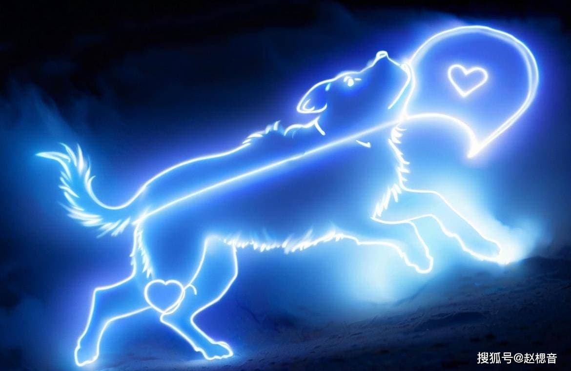 什么是宫位？十二星座与十二宫位的区别！