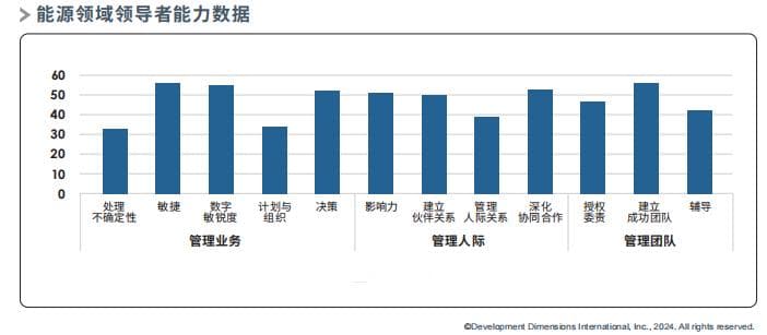 新能源行业人才挑战与解决方案：从关键人才到海外布局