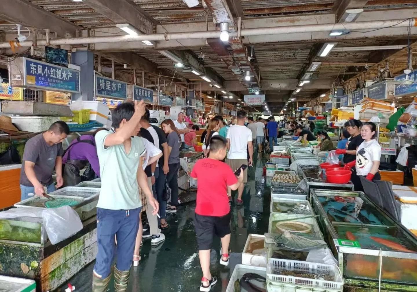 湛江海鲜：鲜美海味的宝藏之地