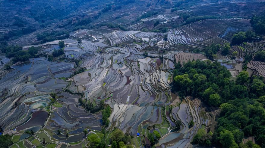 红河州：一粒红米何以守青山？