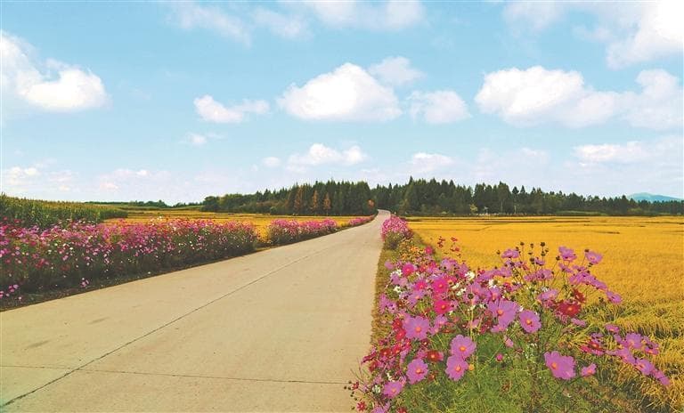 入选全国典型案例 五常 “四好农村路”畅通乡村振兴路