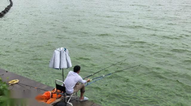 夏季降雨增多，河流涨水后如何垂钓？