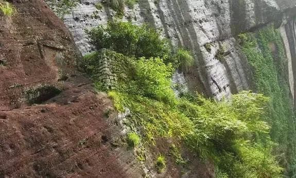 武夷岩茶精湛的做青、焙火技术