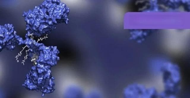 「旁观者效应」是什么？会影响 ADC 的疗效吗？