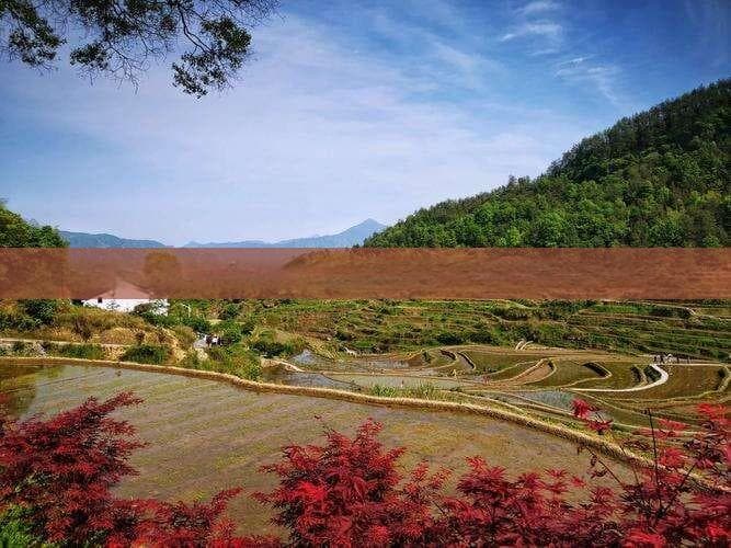 安康至恩施清江画廊自驾攻略：穿越秦巴山脉的9小时旅程