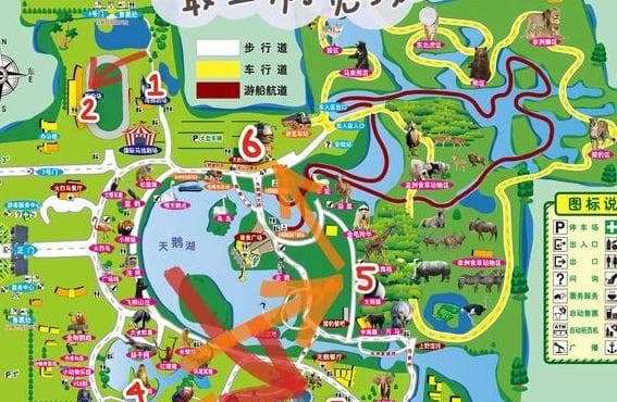 上海野生动物园游玩攻略