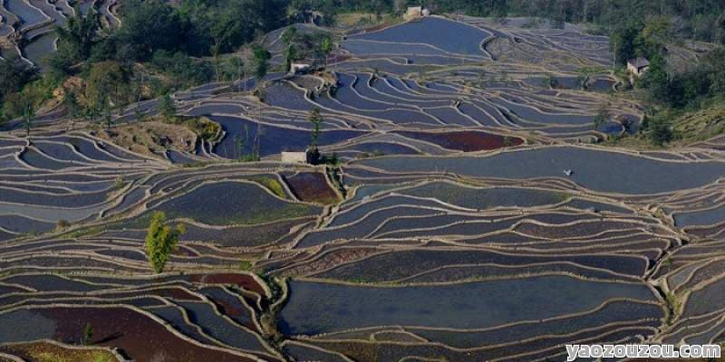 探索多彩民族风情与自然奇观-云南元阳梯田自驾游攻略