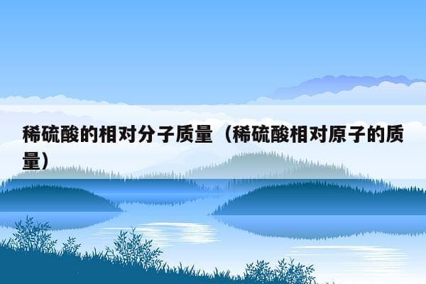 稀硫酸的相对分子质量及其化学性质