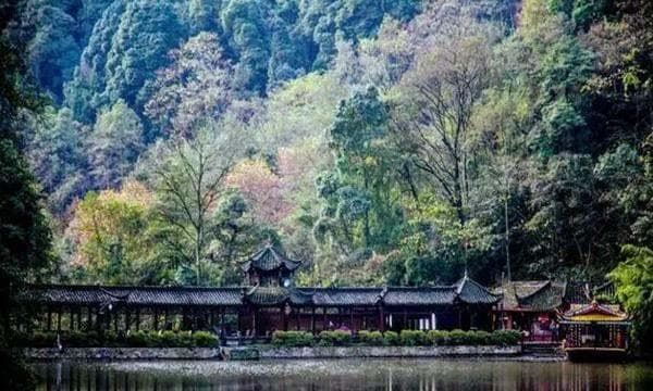 2024青城山景区门票优惠政策最新