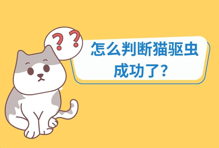 怎么判断猫驱虫成功了？注意这4个信号！