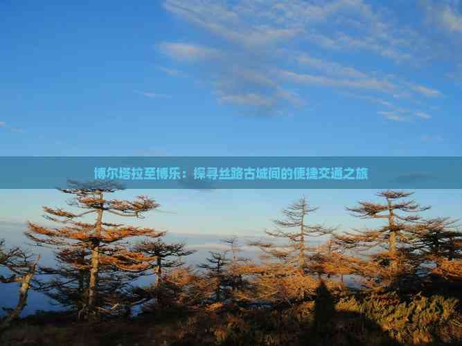 博尔塔拉至博乐：探寻丝路古城间的便捷交通之旅