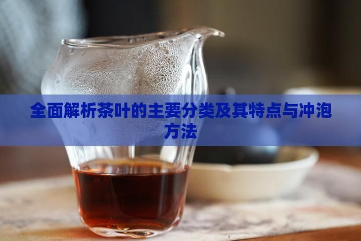 全面解析茶叶的主要分类及其特点与冲泡方法