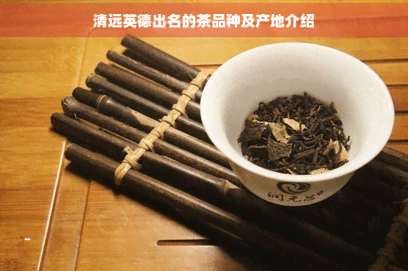 清远英德出名的茶品种及产地介绍