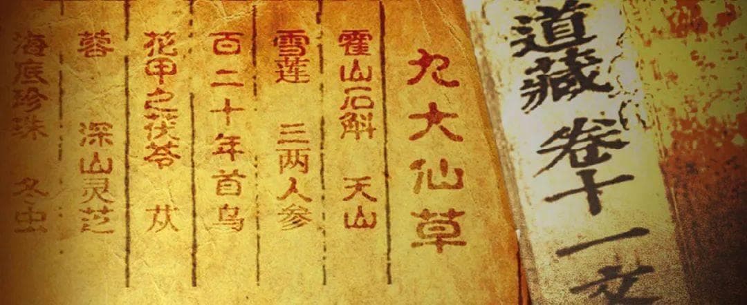 中华九大仙草排行榜