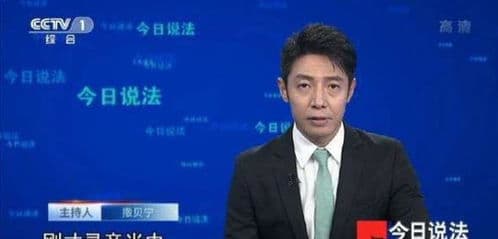 撒贝宁个人简历：从北大法学院走出的国民男神