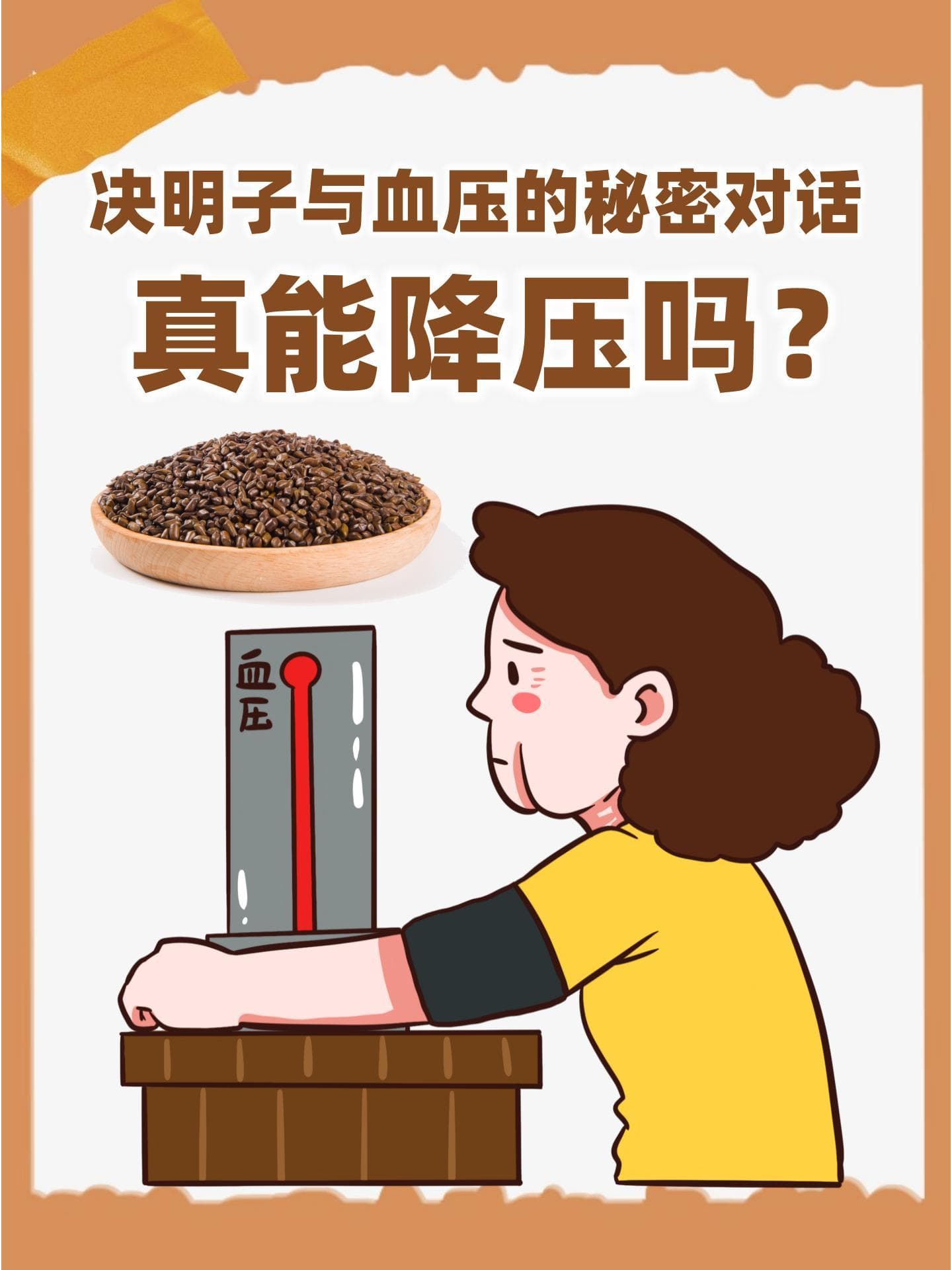决明子与血压的秘密对话：真能降压吗？